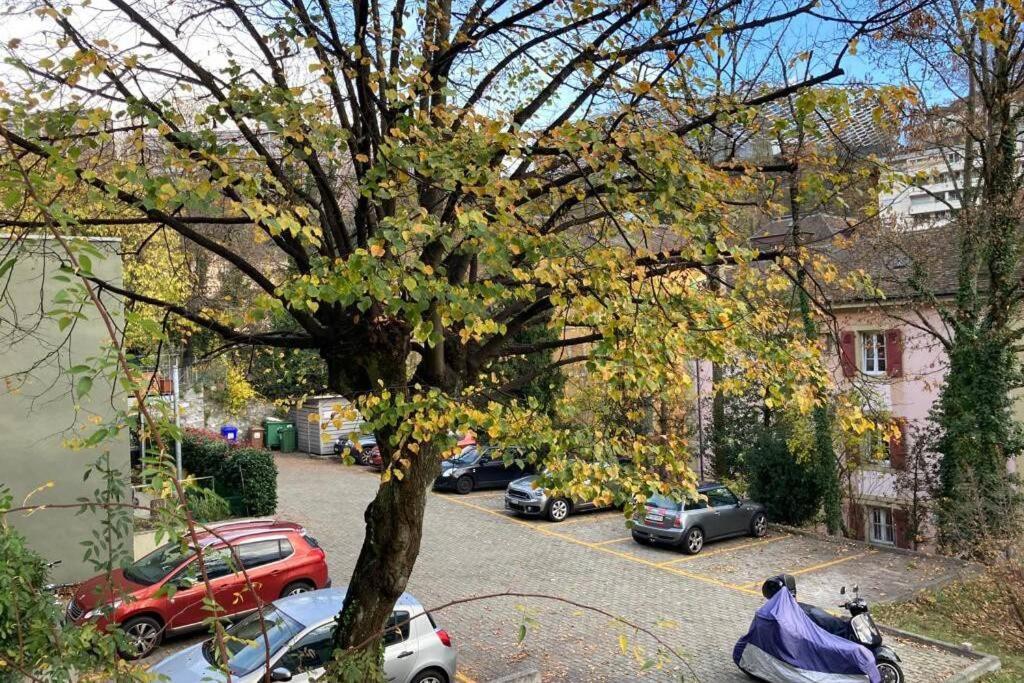 Parking & Appartement 2 Pieces Sans Traffic Lozanna Zewnętrze zdjęcie